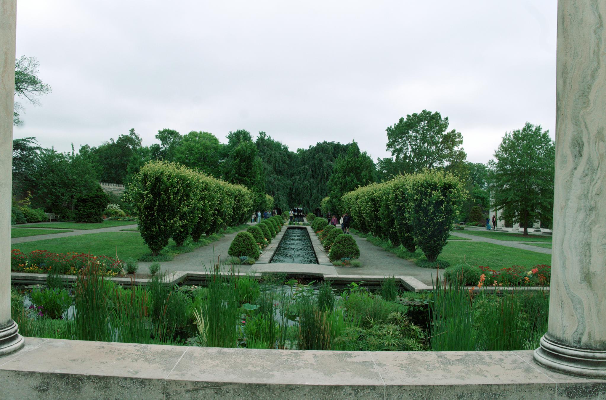 c2_L1011361.jpg